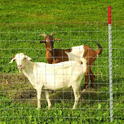 Deer Goat Farm รั้วลวดหนามสังกะสีบานพับร่วมฟันดาบ