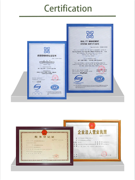ประเทศจีน Anping Tailong Wire Mesh Products Co., Ltd. รับรอง